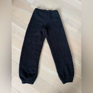 ARITZIA Fuzzy retreat joggers